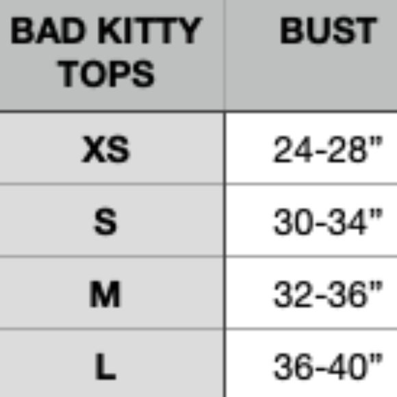 Bad Kitty Polefit Retro Sports Top NWOT - Picture 8 of 8